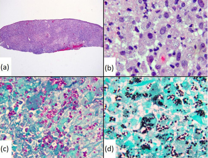 Fig. 3.