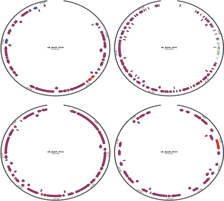 Fig. 9