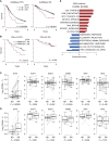 Figure 7. ETV4 expression is associated with poor outcome and a proliferation gene-expression program. A, Kaplan–Meier PFS (left) and OS (right) of CoMMpass patients treated with IMiD as part of their first-line therapy (N = 567) stratified by ETV4 expression of 1 FPKM. B, PFS (left) and OS (right) analysis as in A applied to POLLUX patients treated with daratumumab, lenalidomide, and dexamethasone. C, Expression of ETV4, IKZF1, IKZF3, CRBN, IRF4, and MYC in paired samples collected at diagnosis (ND) and relapse (RR; N = 103) from CoMMpass patients (N = 47). D, Expression analysis of paired samples (N = 28) from POLLUX patients (N = 14) as in C. E, GSEA of gene sets associated with ETV4 expression in NDMM and RRMM samples from CoMMpass. Only gene sets with an FDR ≤0.05 in both analyses are shown. P values were determined using a Cox proportional hazards model Wald test (A and B) or a linear regression with a covariate for patients (C and D).