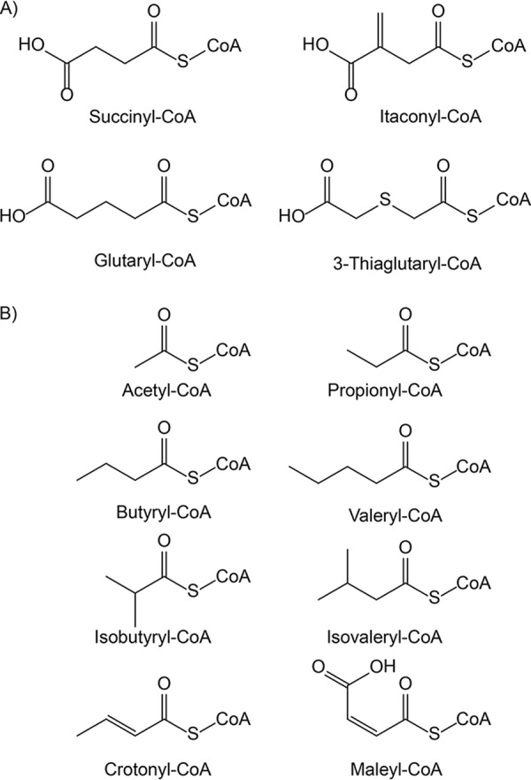 Fig 5