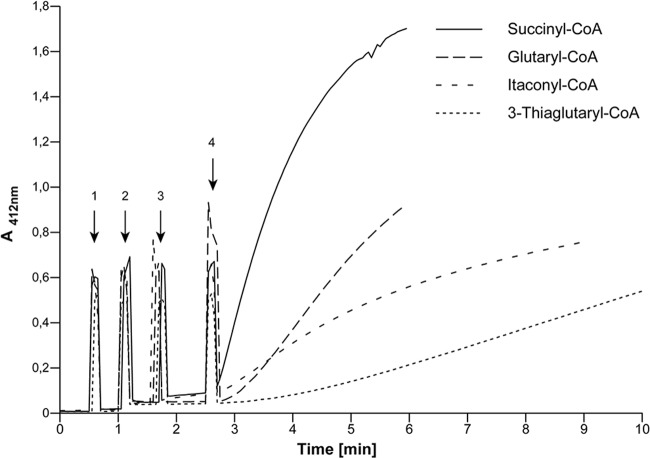 Fig 6