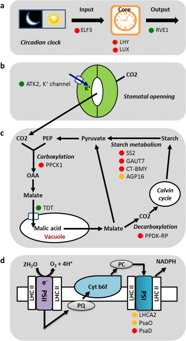 Fig. 6