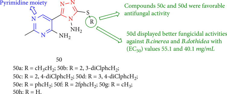 Figure 40