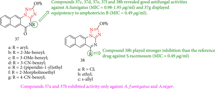 Figure 34