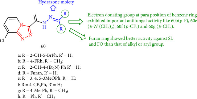 Figure 48
