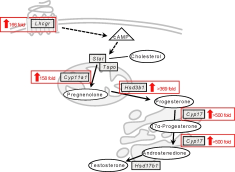 FIG. 4.