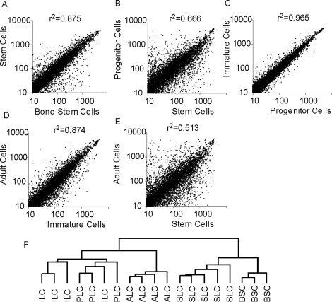 FIG. 1.