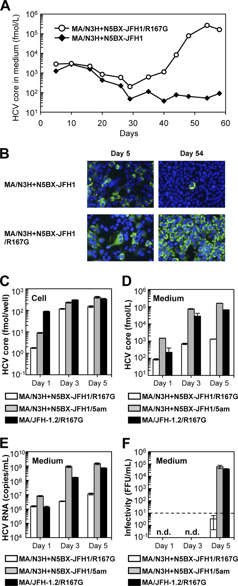 Fig 6