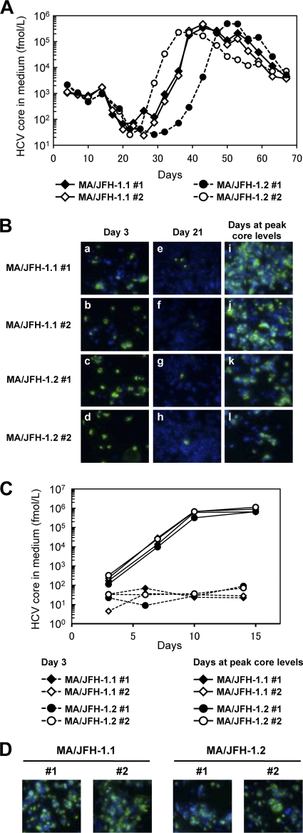 Fig 2