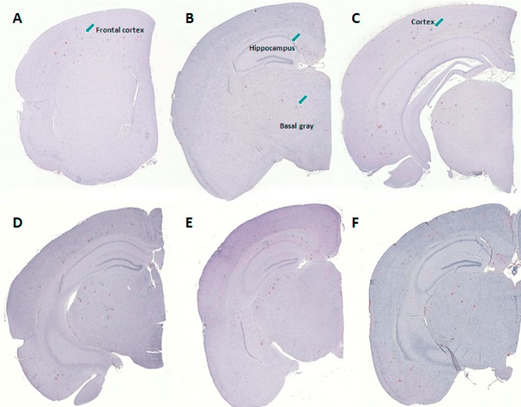 Fig 5