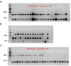Supplementary figure 1