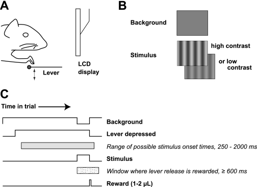 Fig. 1.