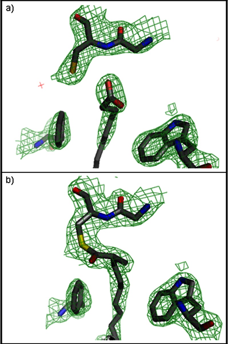 FIGURE 4.