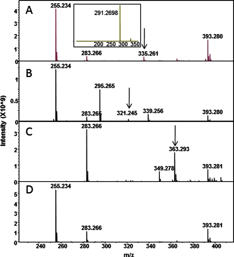 FIGURE 7.