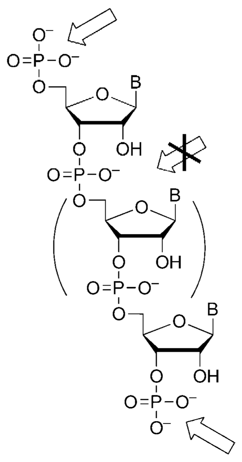 Scheme 6