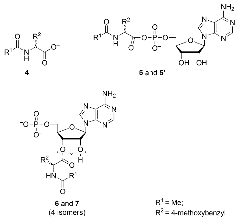 Scheme 3