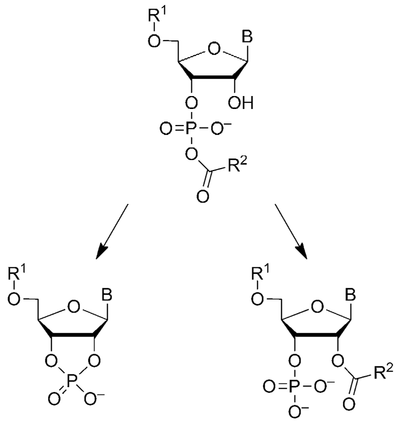 Scheme 4