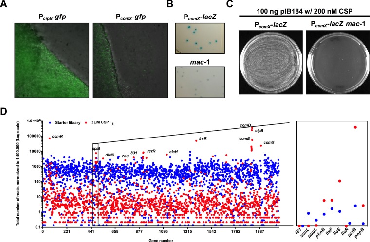 FIG 1