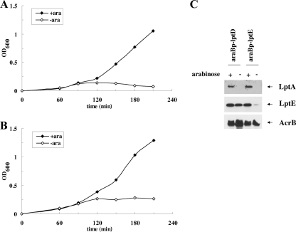 FIG. 9.