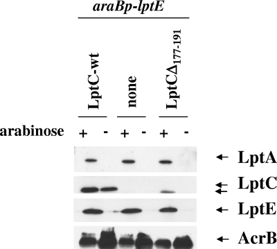 FIG. 7.