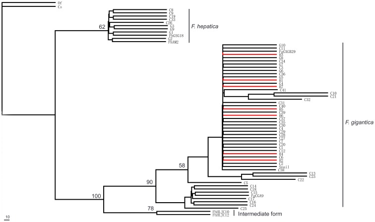 Figure 5