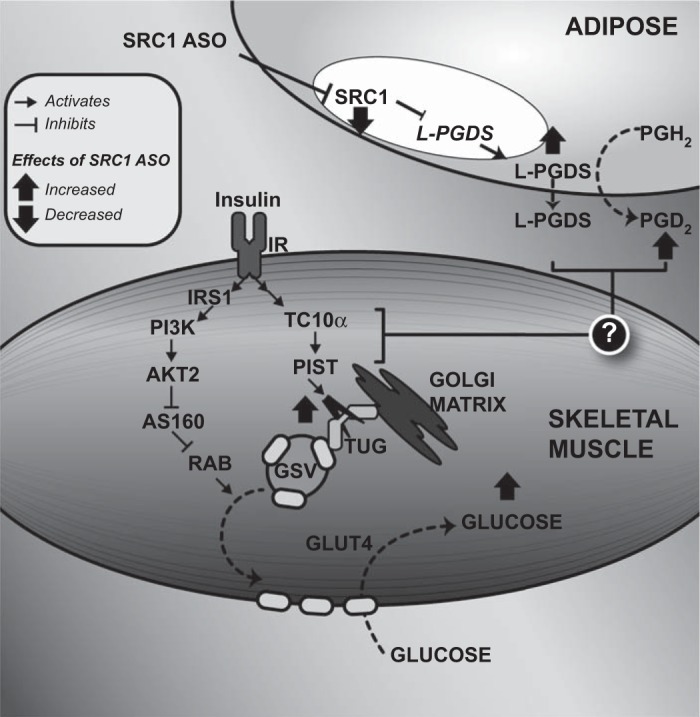 Fig. 8.