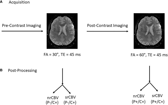 Figure 1