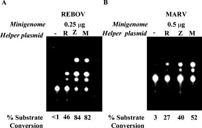 FIG. 6.