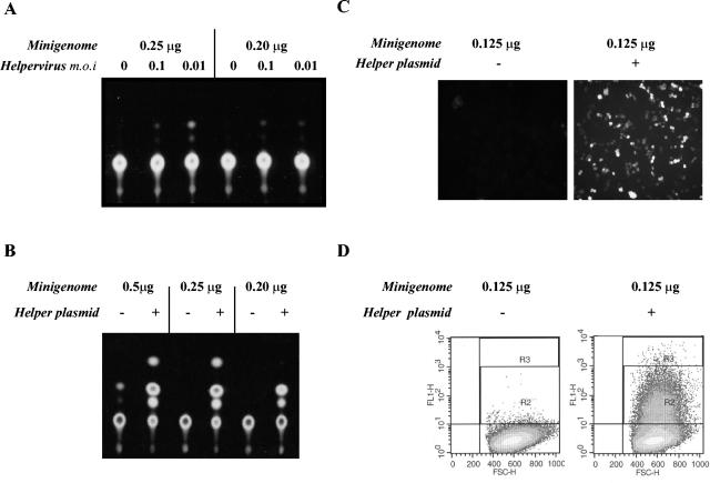 FIG. 2.