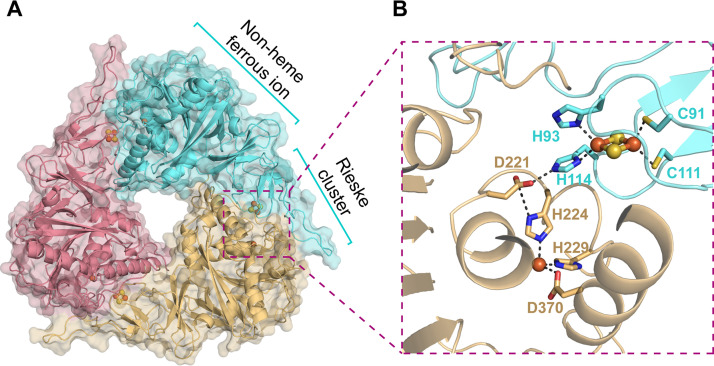 FIG 3