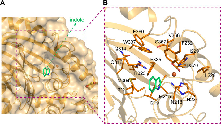 FIG 4