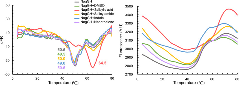 FIG 6