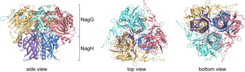 FIG 2