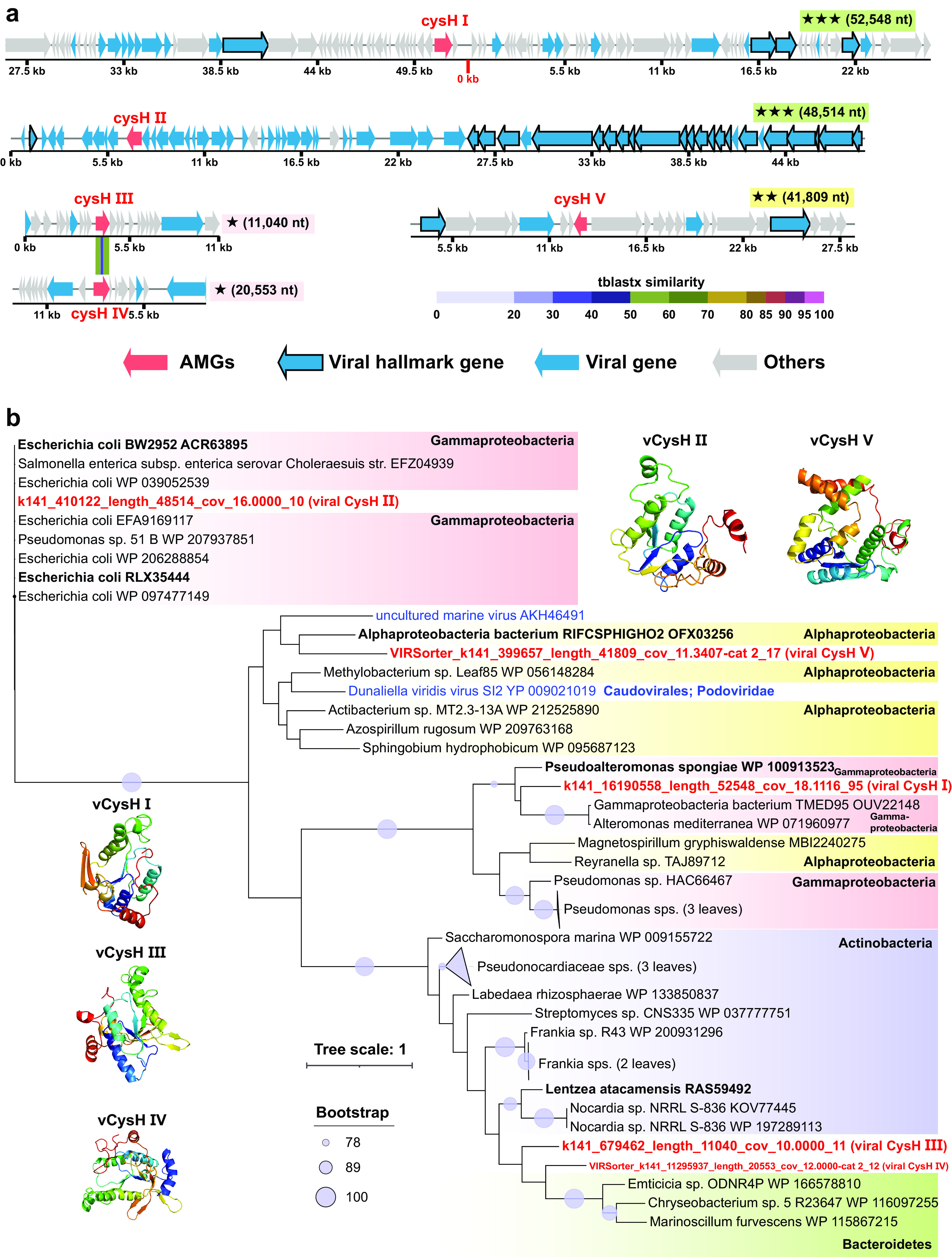 FIG 6