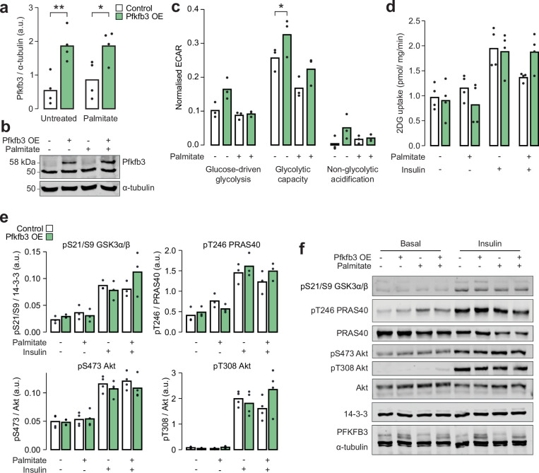 Figure 6—figure supplement 2.