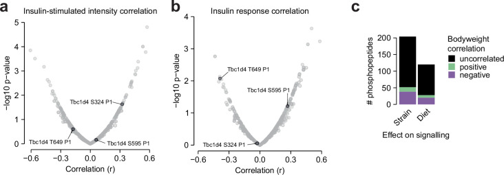 Figure 6—figure supplement 3.