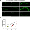 Figure 2—figure supplement 4.