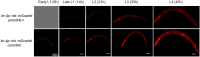 Figure 2—figure supplement 2.