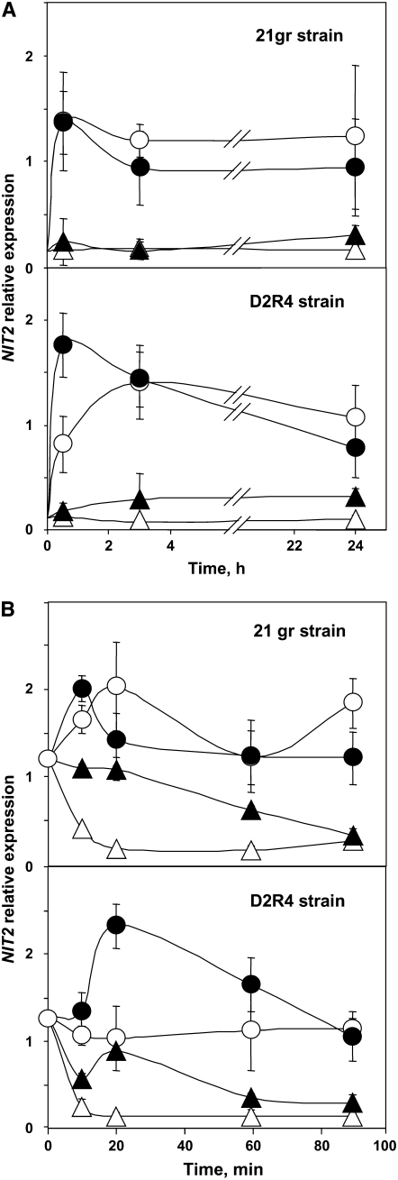 Figure 5.