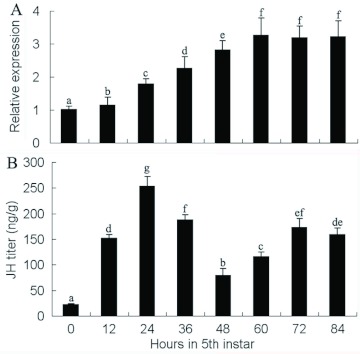 Figure 5. 