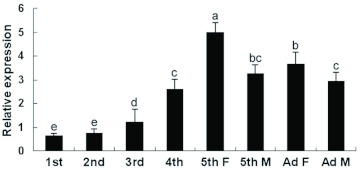 Figure 4. 