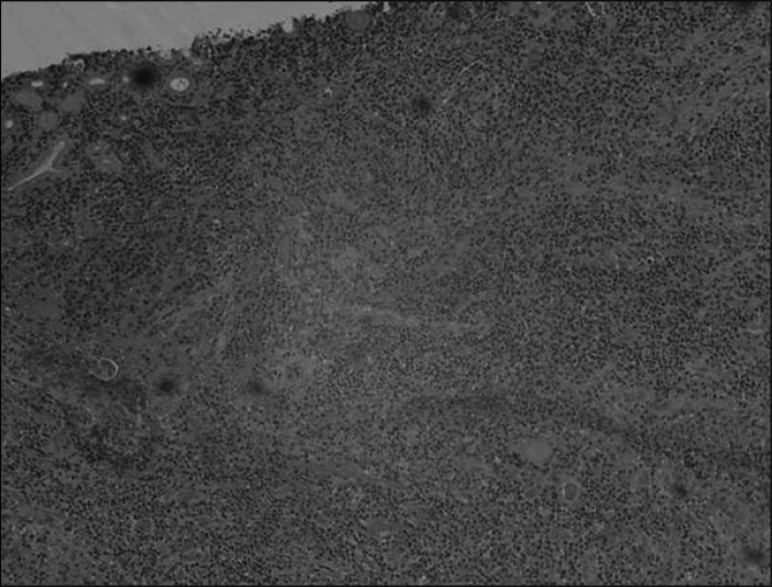 Fig. 10