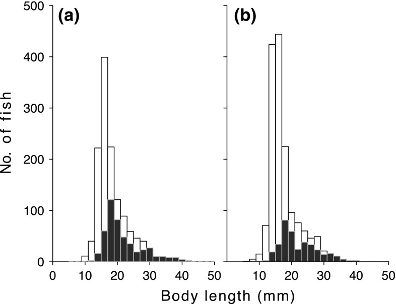 Fig. 5