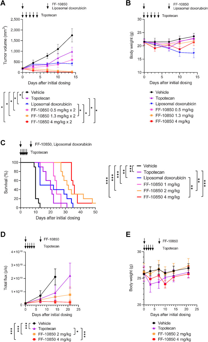 Figure 2. Antitumor activity of FF-10850 in ovarian cancer xenograft models. A and B, ES-2 subcutaneous model. Tumor volume (A) and body weight (B) are shown as mean ± SD (N = 8/group). Multiple comparisons were performed with Steel-Dwass test (A; *, P < 0.05). C, Kaplan–Meier survival curves in ES-2 intraperitoneal disseminated model are shown (N = 10/group). Log-rank test with Holm method for multiple comparisons adjustment was performed (**, P < 0.01 and ***, P < 0.001). D and E, DF181 PDX model. Bioluminescence indicating tumor growth (D) and body weight (E) are shown as mean ± SD (N = 5/group). Mice in the vehicle control group were euthanized on day 22 before measuring bioluminescence. Dunnett test comparing tumor volume data on day 15 to vehicle group was performed; Tukey test was performed for day 22 tumor volume data. (D; *, P < 0.01 and ***, P < 0.001). Arrows indicate days of treatment (A–E).