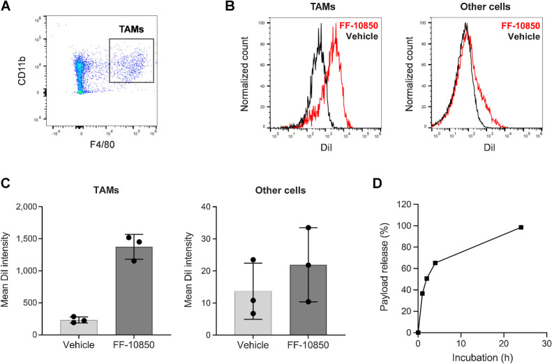 Figure 4. FF-10850 internalization and payload release by macrophages. A–C, Cellular distribution of DiI-fluorescence in ES-2 tumor tissue after intravenous administration of vehicle or DiI-labeled FF-10850. Representative plot for identification of TAMs by CD11b and F4/80 staining (A). Non-CD11b+F4/80+ cells were defined as other cells. Representative overlay histograms of DiI fluorescence in TAMs and other cells (B). Mean fluorescent intensities of DiI in CD11b+F4/80+ TAMs and other cell population are shown as individual animal data points and grouped bars representing mean ± SD values (N = 3/group) (C). D, Percentage of payload release from bone marrow–derived macrophages containing internalized FF-10850 are shown as mean ± SD of triplicate measurements.