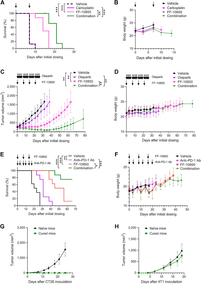 Figure 6. Antitumor activity of FF-10850 in combination with various anticancer agents. A and B, A2780 subcutaneous ovarian cancer model for evaluation of FF-10850 in combination with carboplatin. Kaplan–Meier survival curves (A) and body weight (B) are shown. One animal in the combination group was censored on day 15 due to a fighting-related injury. Log-rank test utilizing the Holm method for multiple comparisons adjustment was performed (A; **, P < 0.01 and ***, P < 0.001). Data are shown as mean ± SD (B; N = 8/group). C and D, Capan-1 subcutaneous pancreatic cancer model for evaluation of FF-10850 in combination with olaparib. Tumor volume (C) and body weight (D) are shown as mean ± SD (N = 8/group). Multiple comparisons were performed with Bartlett test followed by Steel-Dwass test (C; **, P < 0.01). E and F, CT26 subcutaneous colon cancer model for evaluation of FF-10850 in combination with anti–PD-1 antibody. Kaplan–Meier survival curves (E) and body weight (F) are shown. Log-rank test utilizing the Holm method for multiple comparisons adjustment was performed (E; *, P < 0.05; **, P < 0.01; and ***, P < 0.001). Data are shown as mean ± SD (F; N = 8/group). Arrows indicate days of treatments (A–F). G and H, Tumor growth curves after reinoculation of CT26 cells (G) and subsequent inoculation of 4T1 cells (H) into mice that achieved durable complete regression by combination therapy (cured mice), for evaluation of tumor-specific immunity. Data are shown as mean ± SD (N = 5 for cured mice, N = 8 for naïve mice control).