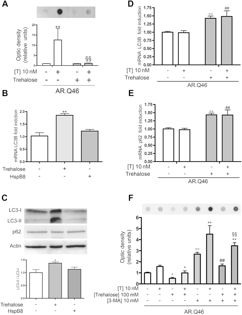 Fig. 7