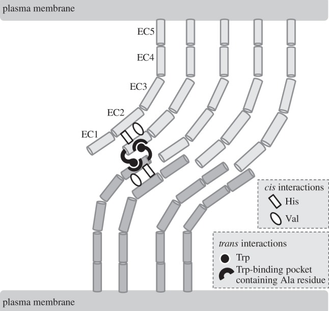 Figure 1.