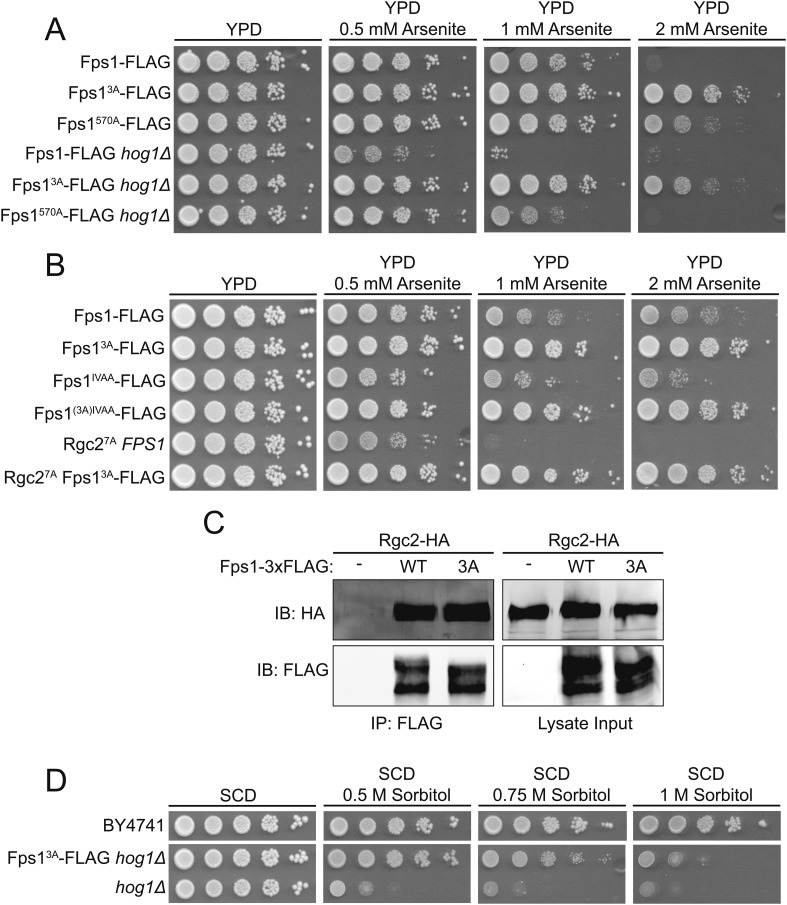 Figure 3.