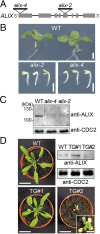Fig. 2.